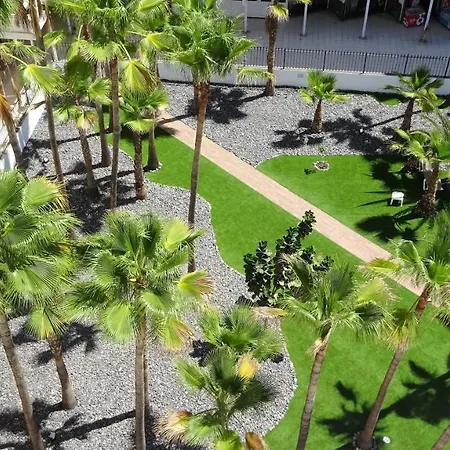 Coconut Friendly Holiday home *