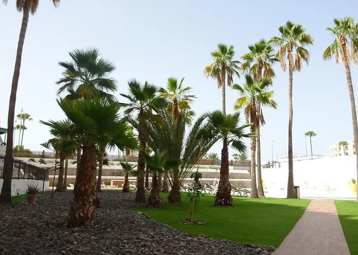 Vakantiehuis Coconut Friendly